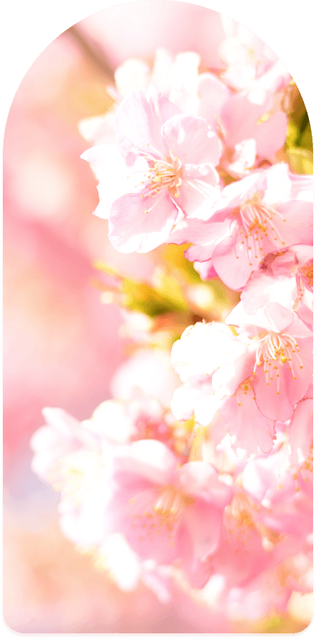 背景画像